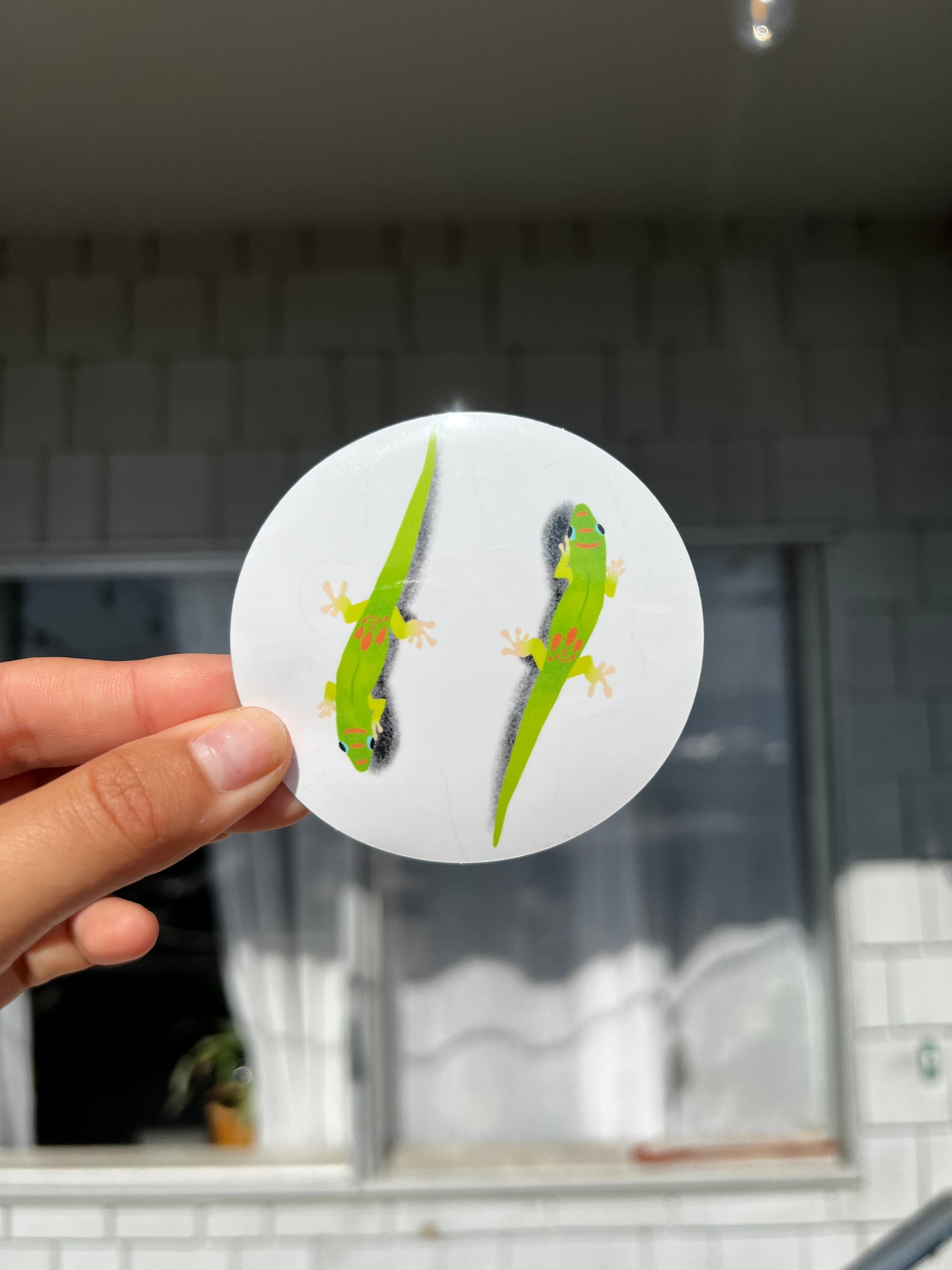 Yin n Yang Gecko Sticker